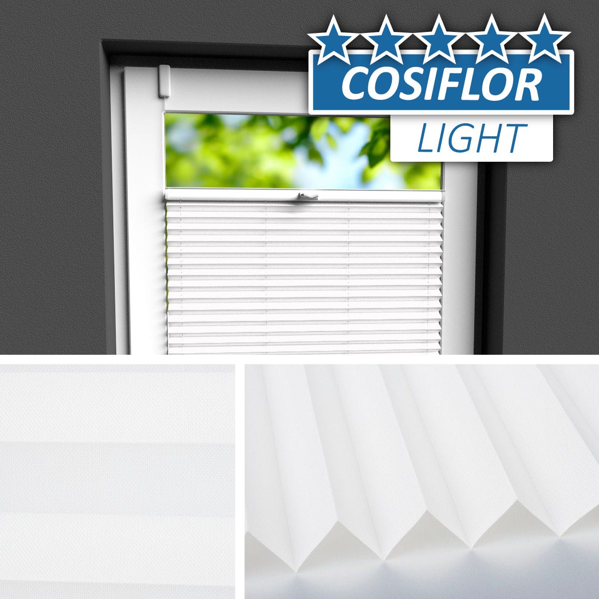 Plissee </br>Bamberg-01 | CL