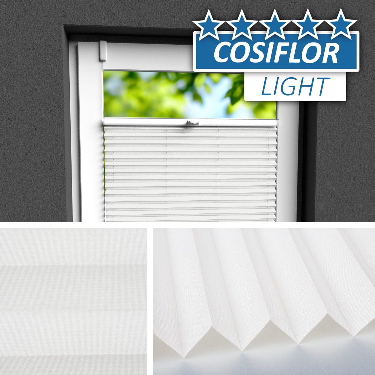 Plissee </br>Bamberg PX-10 | CL