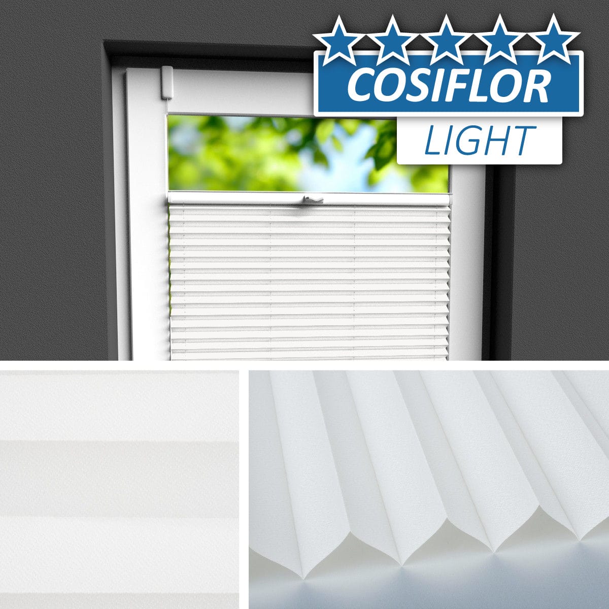 Plissee </br>Berlin PX-41 | CL