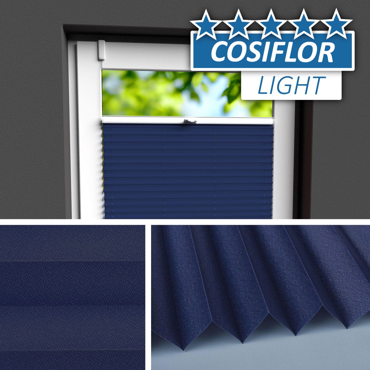 Plissee </br>Berlin PX-62 | CL