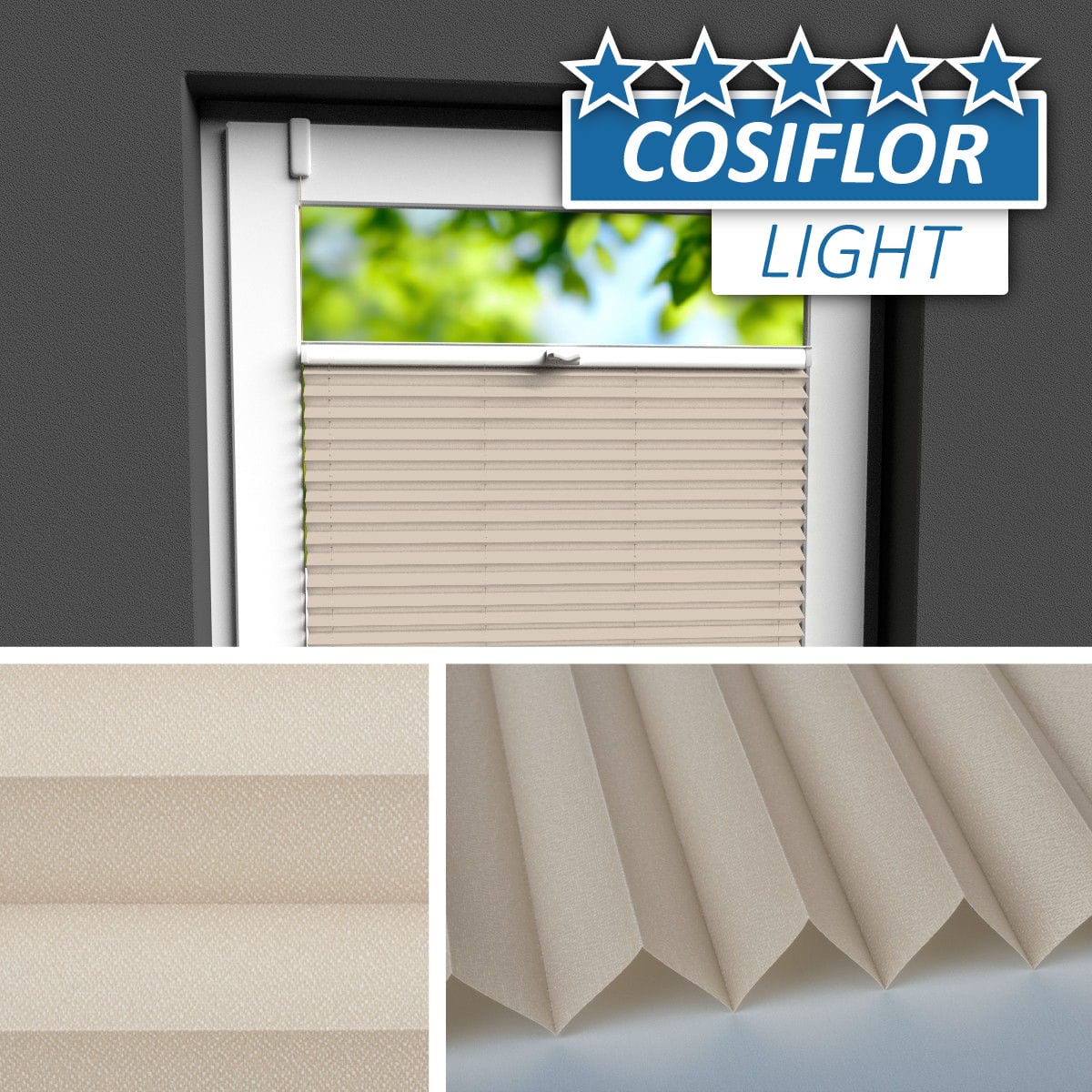 Plissee </br>Berlin PX-63 | CL