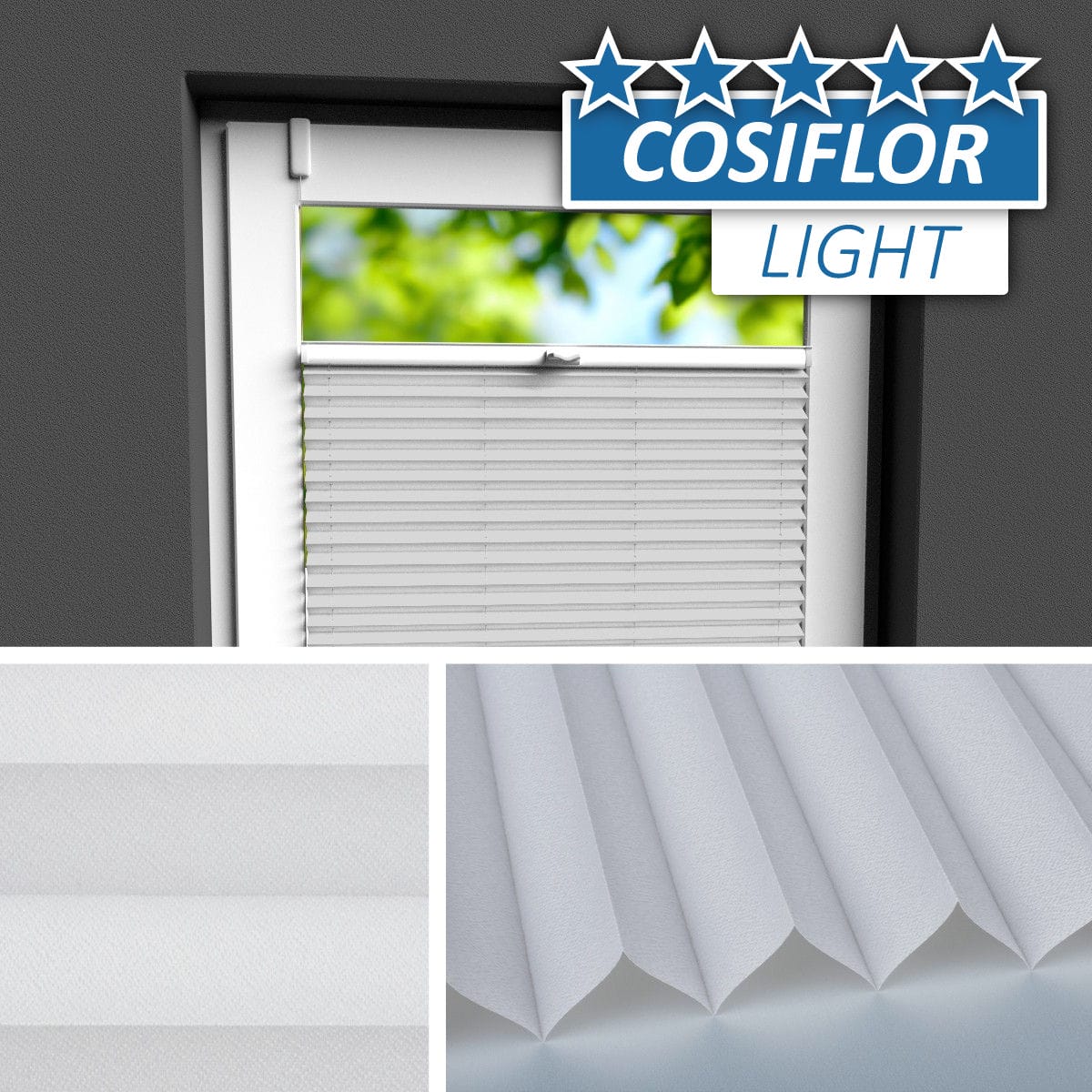 Plissee </br>Berlin PX-66 | CL