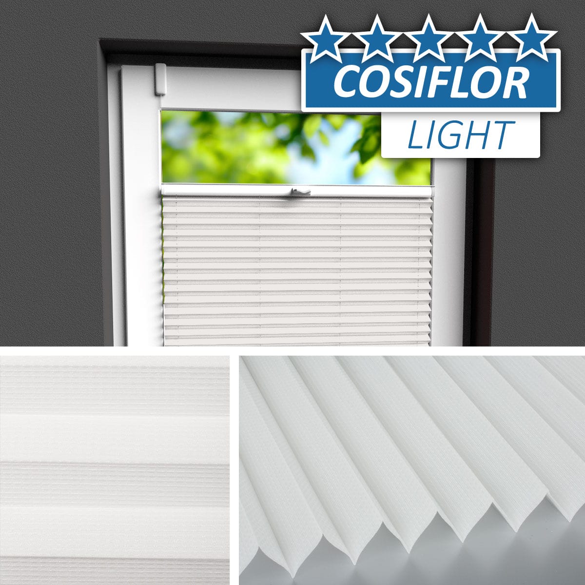 Plissee </br>Binz PX-24 | CL