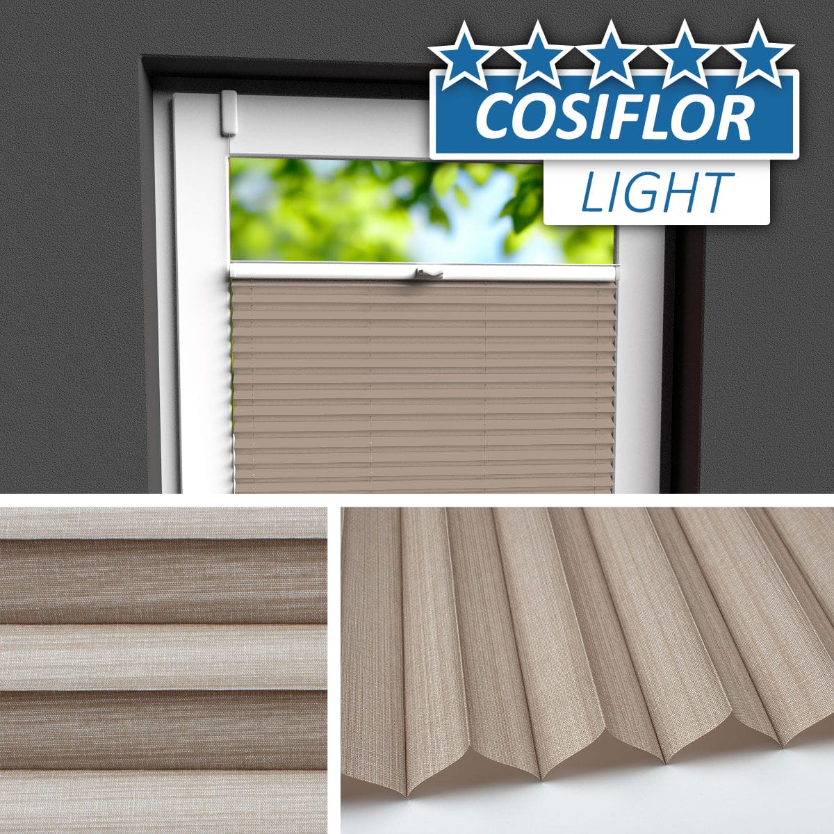 Plissee Rollo </br>Braunschweig PX-14 | CL