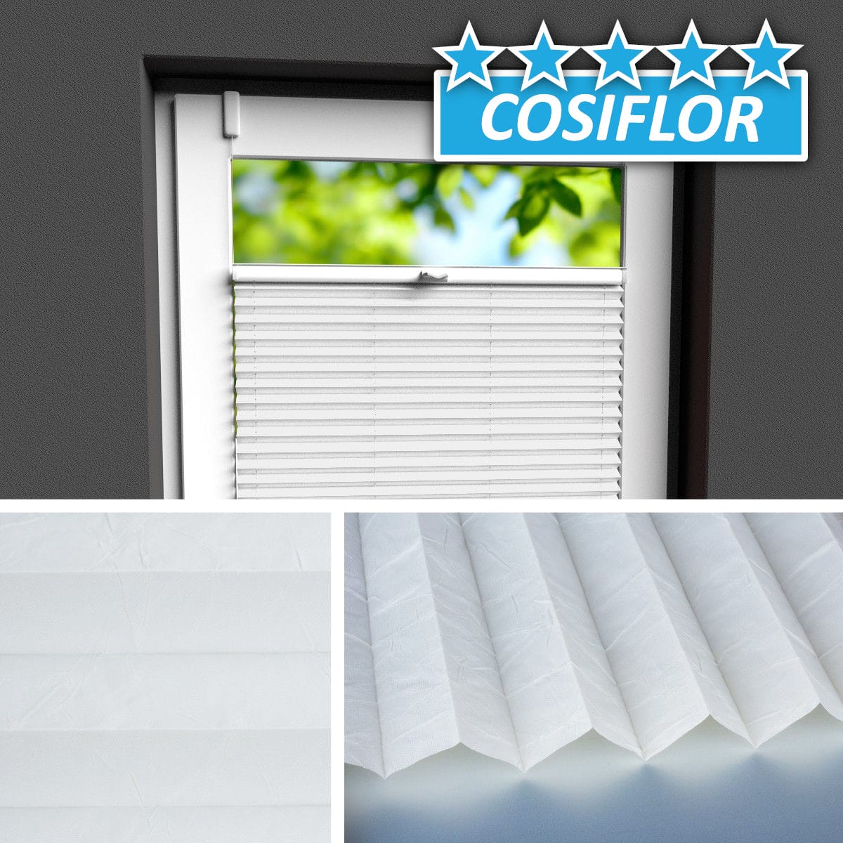 Plissee </br>Ibiza PX-2201