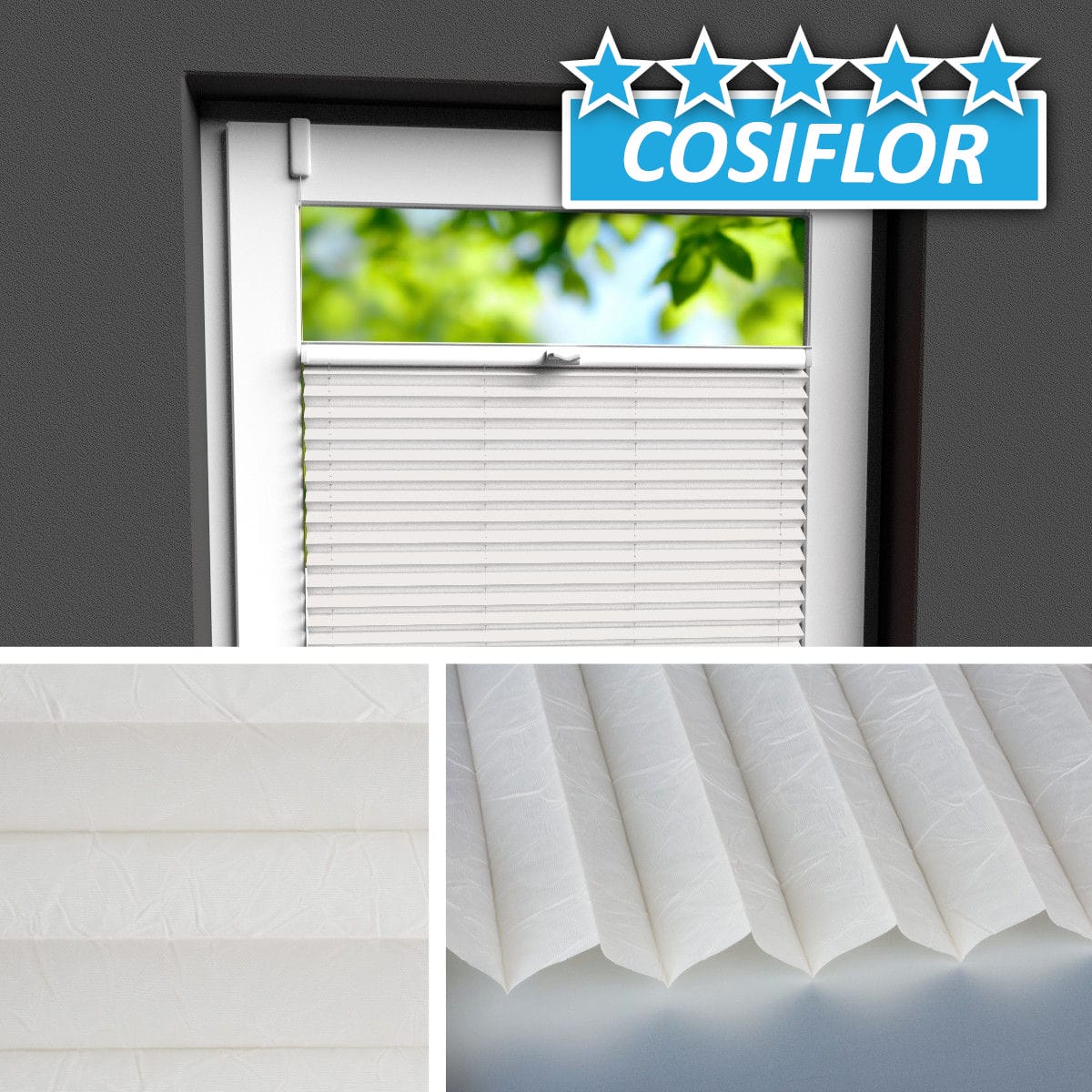 Plissee Rollo </br>Ibiza PX-2202