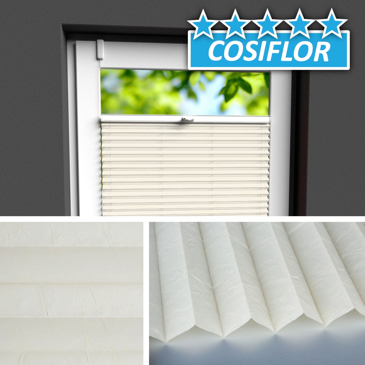 Plissee Rollo </br>Ibiza PX-2203