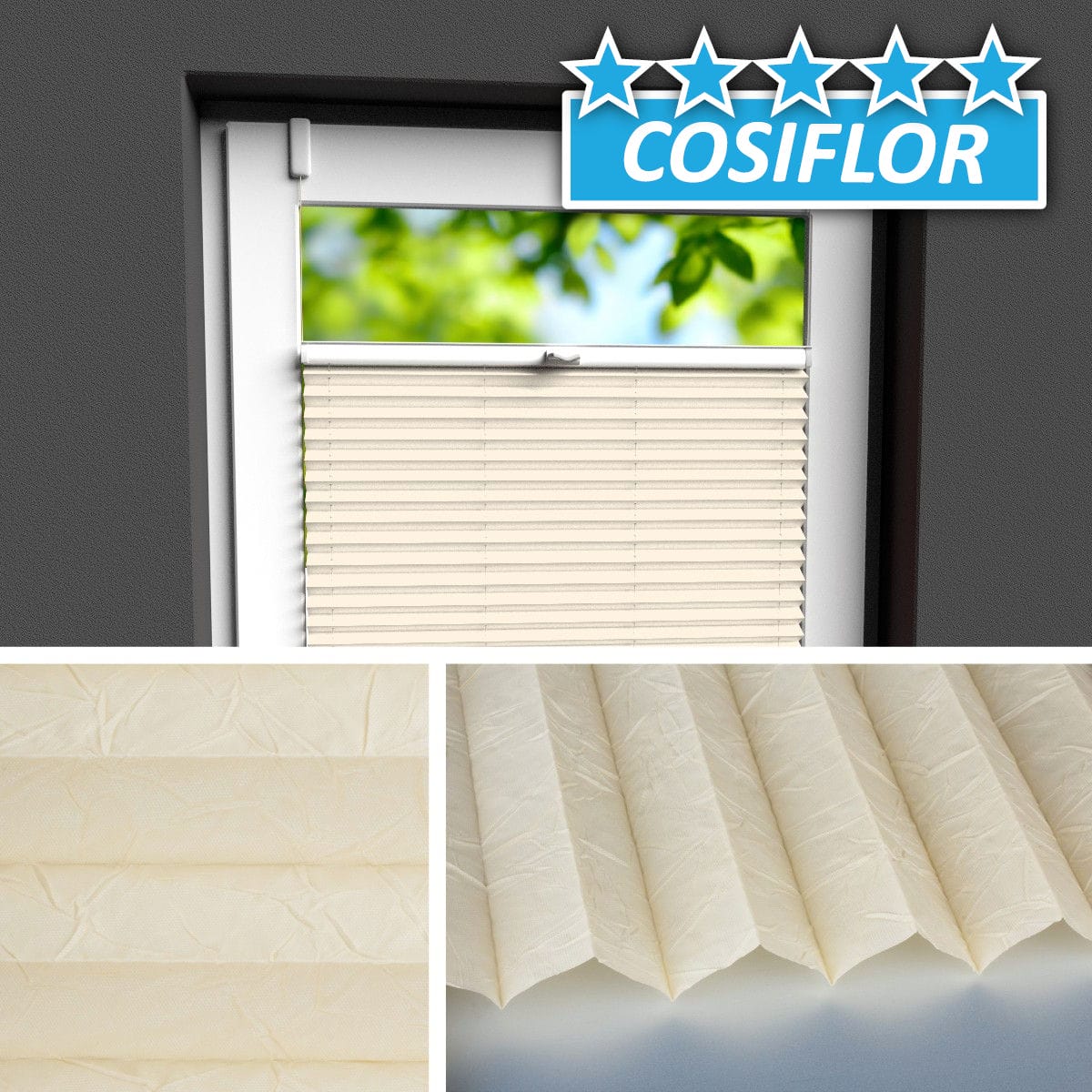 Plissee Rollo </br>Ibiza PX-2204