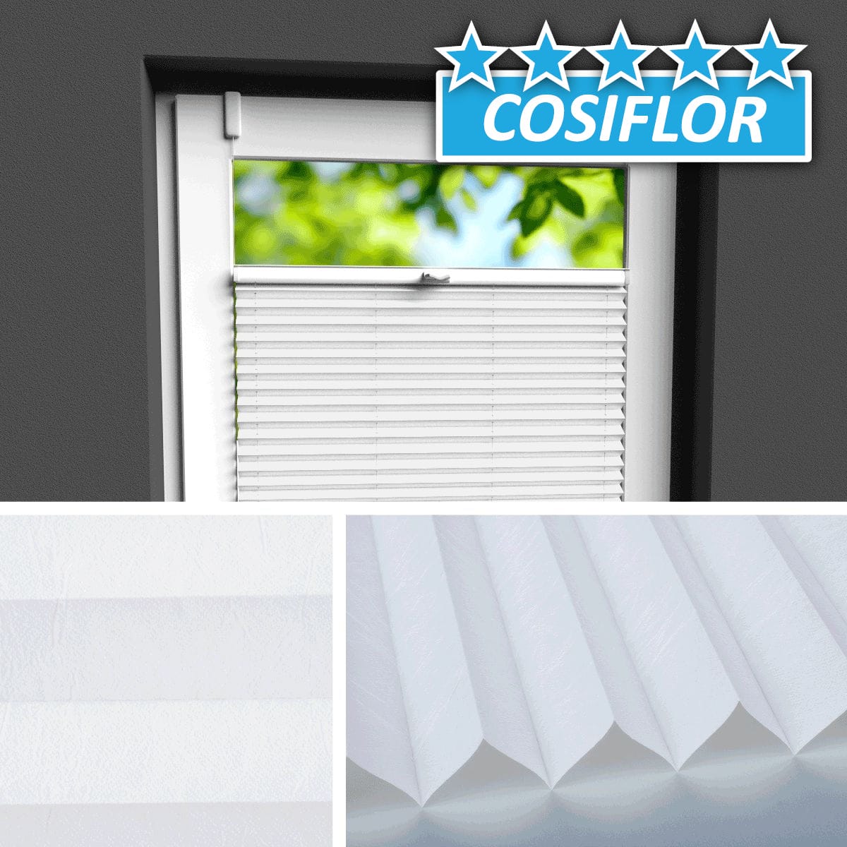 Plissee </br>Ibiza PX-2401