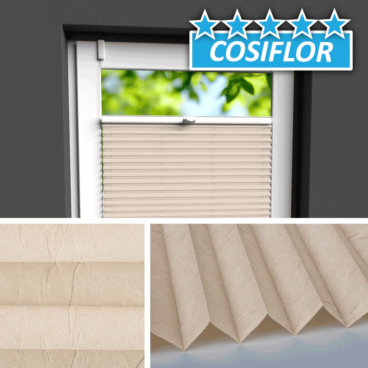 Plissee </br>Ibiza PX-2402