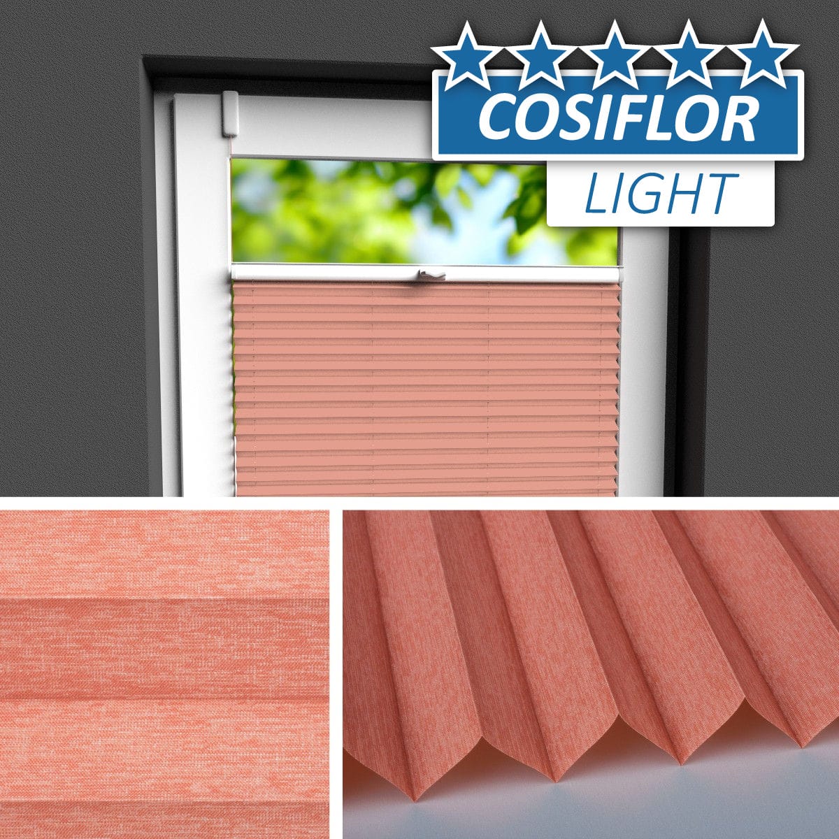 Plissee </br>Wismar PX-02 | CL